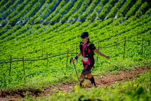 BIB: 
                            <button type="button" onclick="openModal(19162641)" class="btn btn-primary btn-sm float-right btn-popup" data-toggle="modal" data-target=".modal-high-quality">
                        <i class="fas fa-shopping-cart"></i> Add to Cart
                    </button>
                                            <button type="button" onclick="isThisMe(19162641, true)" class="btn btn-success btn-sm float-right btn-popup btn-isme hidden" data-toggle="tooltip" data-placement="bottom" title="นี่คือรูปของคุณใช่ไหม คลิกที่นี่เพื่อเอาเข้าอัลบั้ม">
                        <i class="fas fa-plus"></i> Add to album
                    </button>
                    <button type="button" onclick="isThisMe(19162641, false)" class="btn btn-warning btn-sm float-right btn-popup btn-isnotme hidden">
                        <i class="fas fa-ban"></i> Remove from album
                    </button>